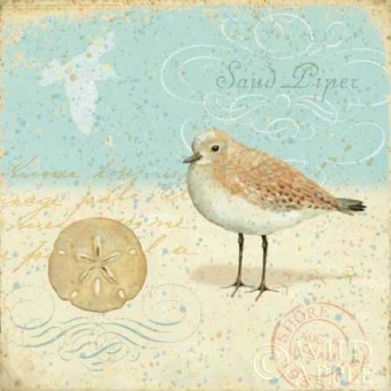 Natural Seashore II Poster Print by Daphne Brissonnet - Item # VARPDX5402